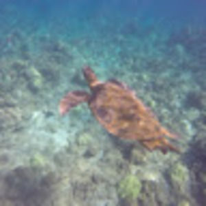 Meet your Posher, Ke